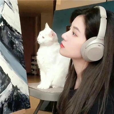 艾尔莎与弗雷德国语